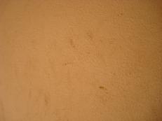 e0096485_1034070.jpg