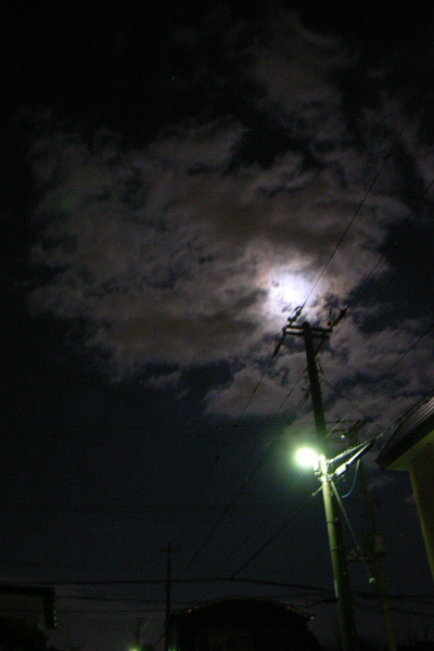 e0051186_20395930.jpg