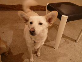 c0123890_2014366.jpg