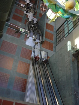c0064899_1651135.jpg