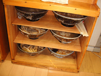 f0061401_19364939.gif