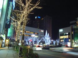 b0057103_131349.jpg