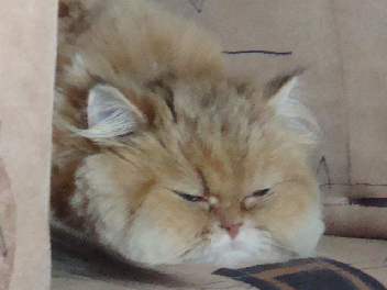 f0138304_12344725.jpg