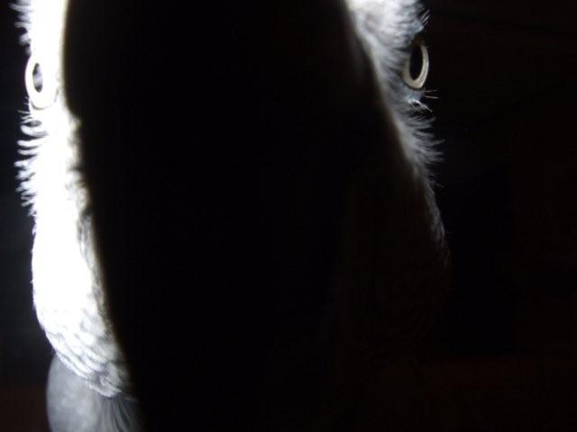 c0133013_0482565.jpg