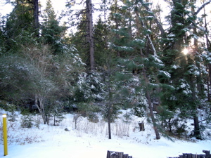a0095115_832815.jpg