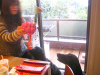 c0012120_1243762.jpg