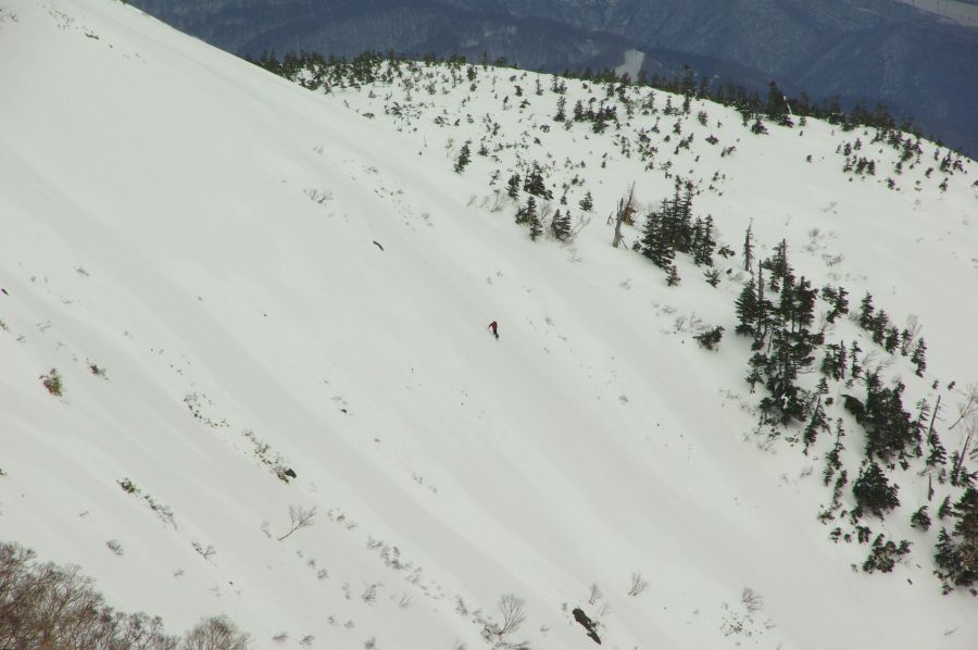 b0062024_754445.jpg