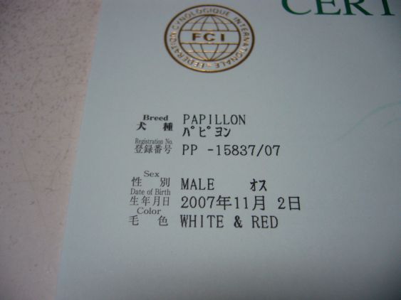 e0106440_21321368.jpg