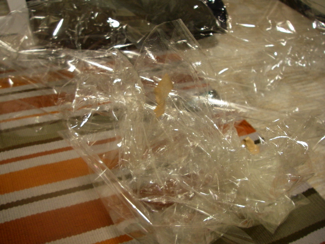 e0070552_17402461.jpg
