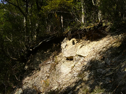 f0067354_19393968.jpg