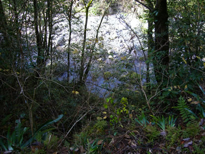 f0067354_19401734.jpg