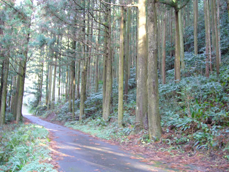f0067354_19543811.jpg
