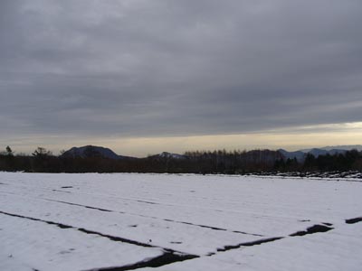 b0045357_1018777.jpg