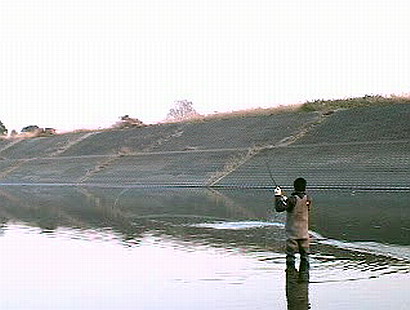 f0084561_1325825.jpg