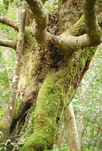 c0151875_2153372.jpg