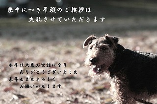 a0035678_1591559.jpg