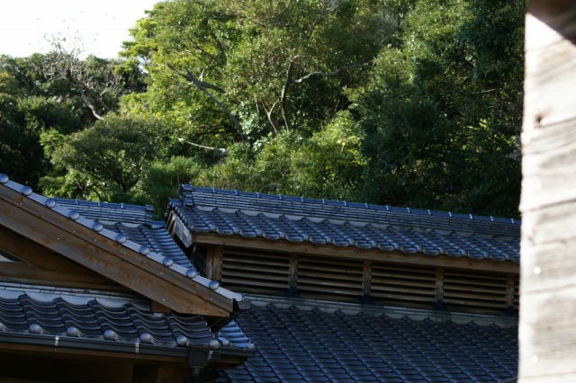 d0079278_17132289.jpg