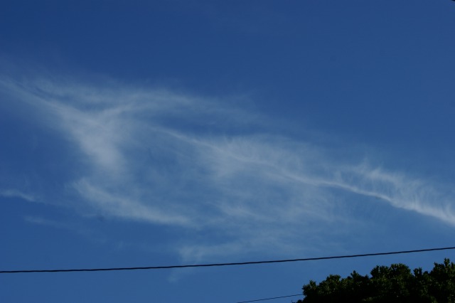 d0079278_17214666.jpg