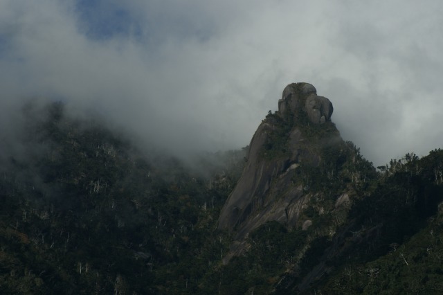 d0079278_17231755.jpg