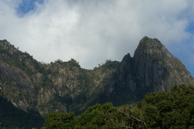 d0079278_1723523.jpg