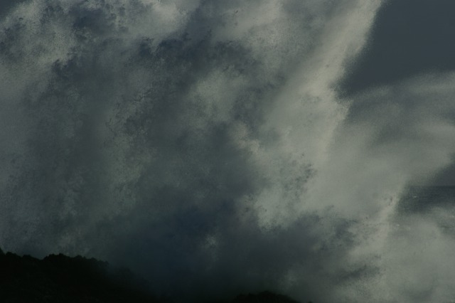 d0079278_17345292.jpg