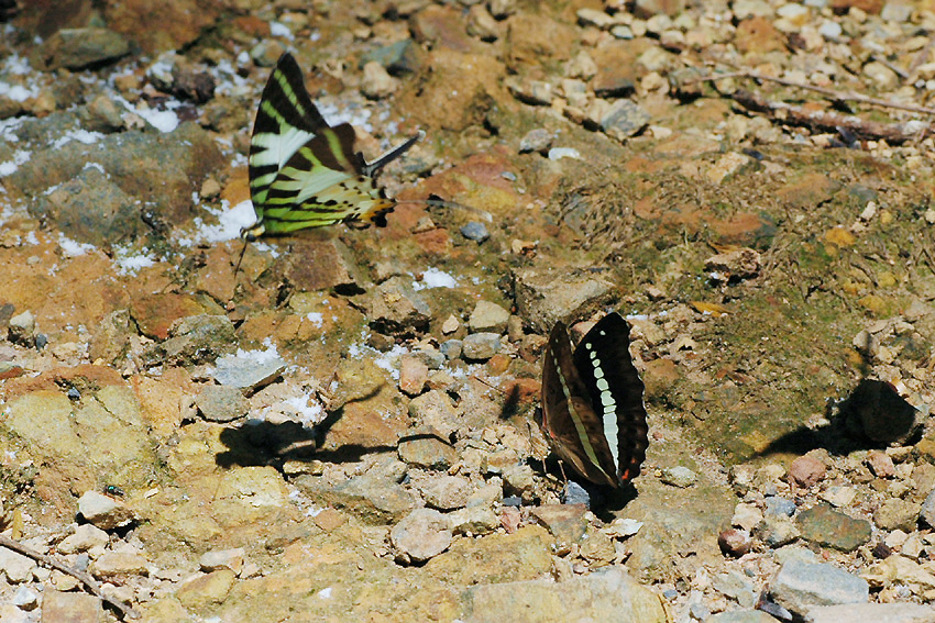 f0090680_20184461.jpg