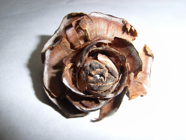 f0017185_18483328.jpg