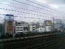 a0045688_962475.jpg
