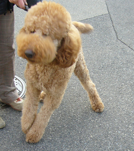 c0085188_2127092.jpg