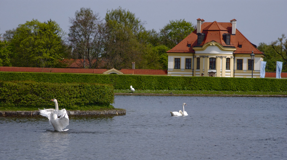 d0118588_16161415.jpg