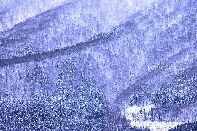 c0134295_234271.jpg