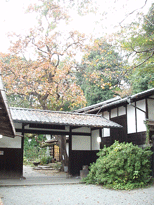 c0129702_20123187.gif
