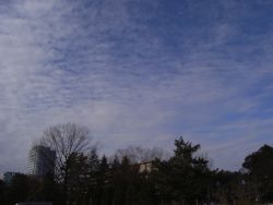 b0057103_2110947.jpg