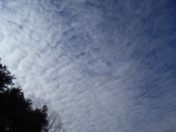 b0057103_2195780.jpg