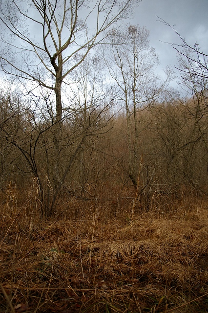 b0050305_21384667.jpg