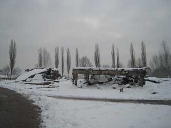 e0038811_2304085.jpg