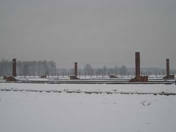 e0038811_23947.jpg