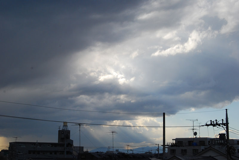b0111116_2315466.jpg
