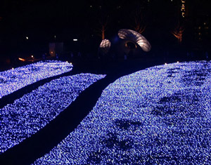 c0083817_1717235.jpg