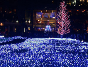 c0083817_17175567.jpg