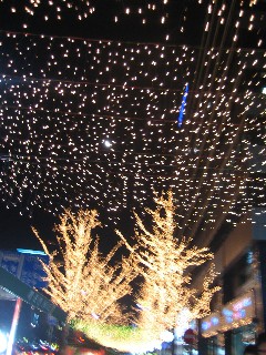 c0054118_10284256.jpg