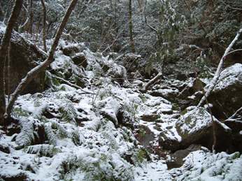 c0077338_22263647.jpg