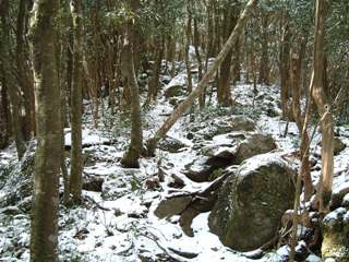 c0077338_22265181.jpg