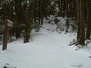 c0077338_22271563.jpg