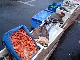 c0153740_4304730.jpg