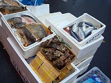 c0153740_4311064.jpg