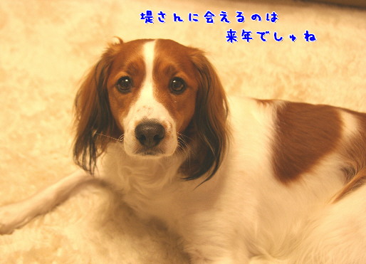 d0013149_020263.jpg