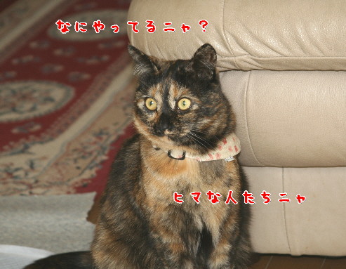d0013149_0312366.jpg