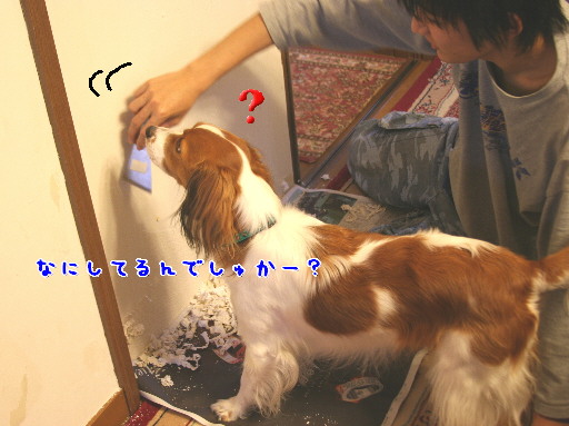 d0013149_0425325.jpg