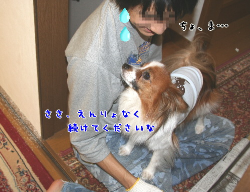 d0013149_0472891.jpg